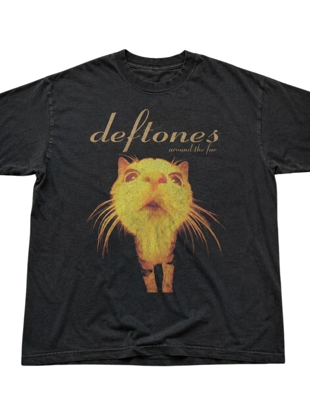 Gildan Black Tee with Yellow-Orange Cat Graphic, Gift For Her, For Him